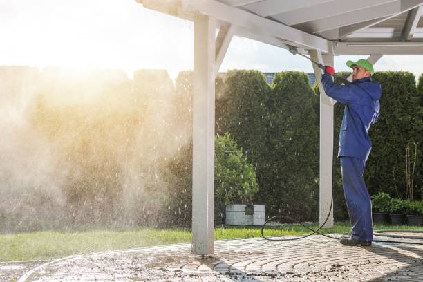 Best Gutter Cleaning  in Maybrook, NY